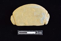 網墜藏品圖，第1張