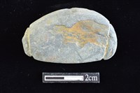 網墜藏品圖，第1張