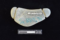 網墜藏品圖，第2張