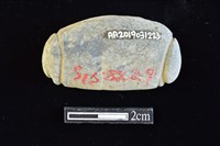 網墜藏品圖，第2張