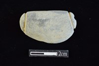 網墜藏品圖，第1張