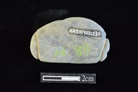 網墜藏品圖，第2張