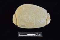 網墜藏品圖，第1張