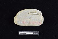 網墜藏品圖，第2張