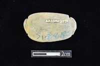 網墜藏品圖，第2張