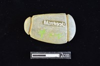 網墜藏品圖，第2張