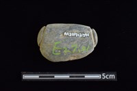 網墜藏品圖，第2張