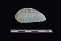 網墜藏品圖，第2張