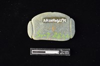 網墜藏品圖，第2張