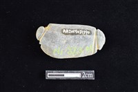 網墜藏品圖，第2張