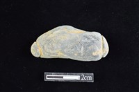 網墜藏品圖，第1張