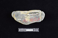 網墜藏品圖，第2張