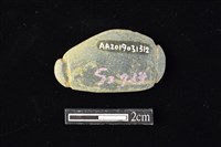 網墜藏品圖，第2張