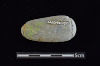 網墜藏品圖，第2張