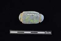 網墜藏品圖，第2張