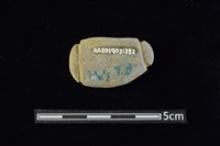 網墜藏品圖，第2張