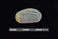 網墜藏品圖，第2張