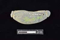 網墜藏品圖，第2張