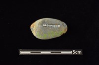 網墜藏品圖，第2張