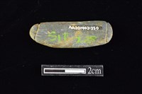 網墜藏品圖，第2張