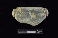 網墜藏品圖，第1張