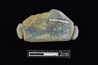 網墜藏品圖，第2張