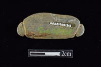 網墜藏品圖，第2張