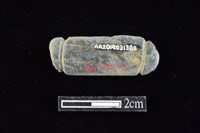 網墜藏品圖，第2張