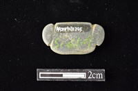 網墜藏品圖，第2張