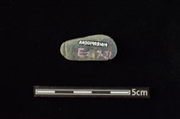 網墜藏品圖，第2張