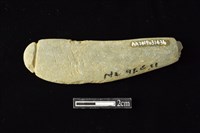 網墜藏品圖，第2張