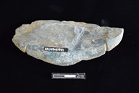 網墜藏品圖，第2張