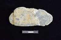 網墜藏品圖，第1張