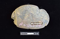 網墜藏品圖，第2張