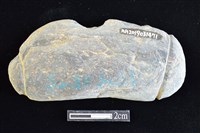 網墜藏品圖，第2張