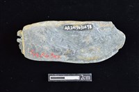 網墜藏品圖，第2張