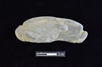 網墜藏品圖，第1張