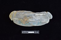 網墜藏品圖，第2張