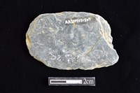 網墜藏品圖，第2張