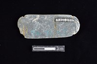 網墜藏品圖，第2張