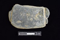 網墜藏品圖，第1張