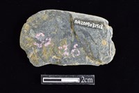 網墜藏品圖，第2張