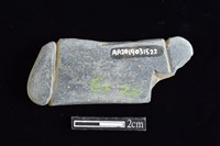 網墜藏品圖，第2張