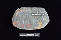 網墜藏品圖，第2張