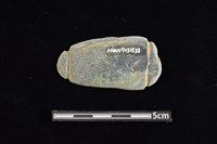 網墜藏品圖，第2張