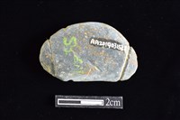 網墜藏品圖，第2張