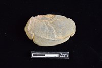 網墜藏品圖，第2張