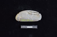 網墜藏品圖，第2張