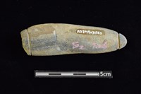 網墜藏品圖，第2張