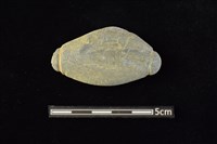 網墜藏品圖，第1張